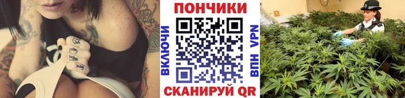Шишки марихуана Amnesia  Порхов 